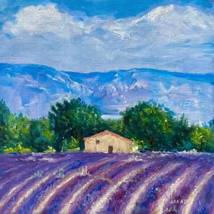 Cabanon dans le champ de lavande Satisfait Ou Remboursé